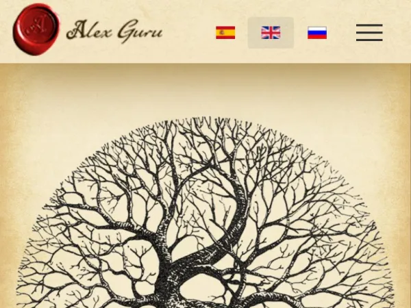 „Alex Guru“ svetainė – mobilioji versija