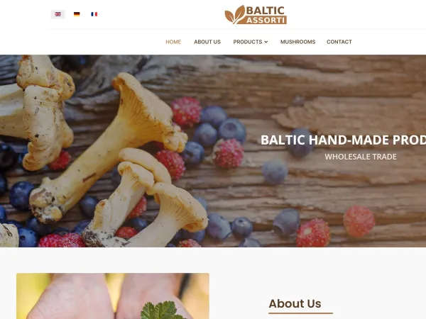 „Baltic Assorti“ svetainė – pagrindinis puslapis kompiuterio ekrane