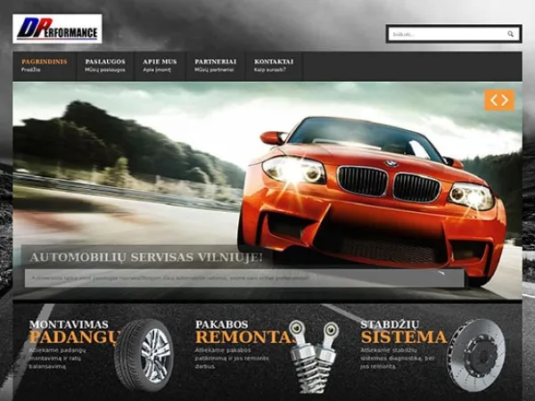 „DPerformance“ svetainė – vaizdas 3