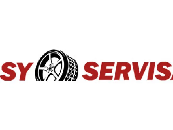 Логотип «Easy servisas» – изображение 1