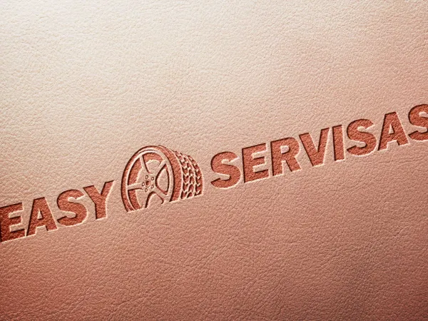 “Easy servisas” logo – presentation