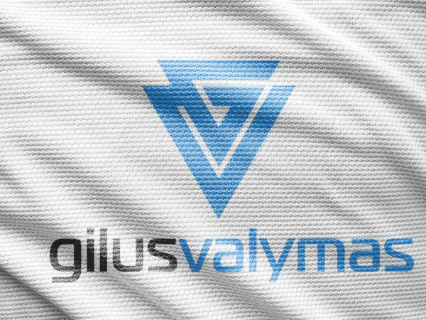 “Gilus Valymas” logo – presentation
