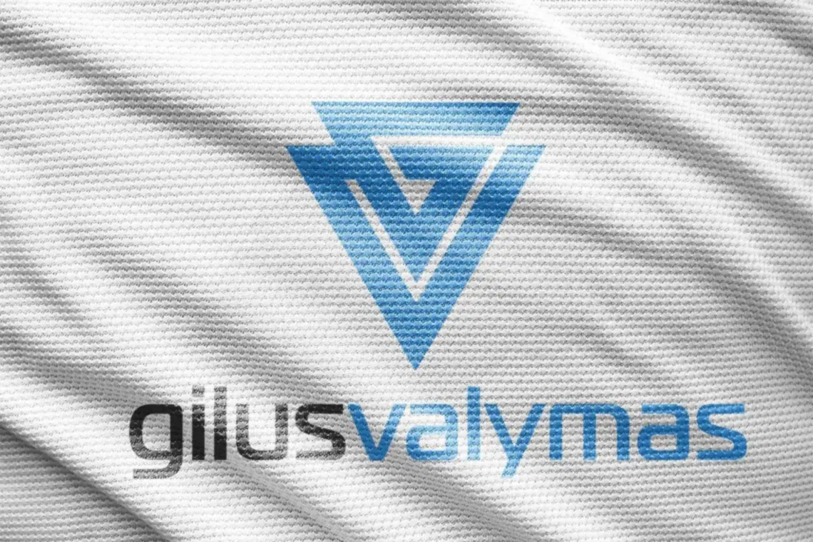 “Gilus Valymas” logo – presentation