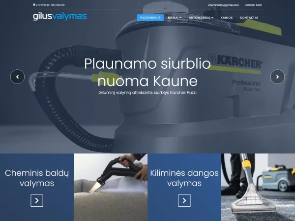 „Gilus valymas“ svetainė – visas pagrindinis puslapis