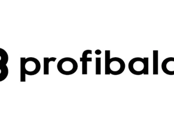 Логотип «ProfiBaldai» – изображение 1