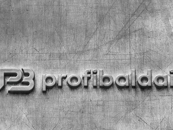 “ProfiBaldai” logo – presentation
