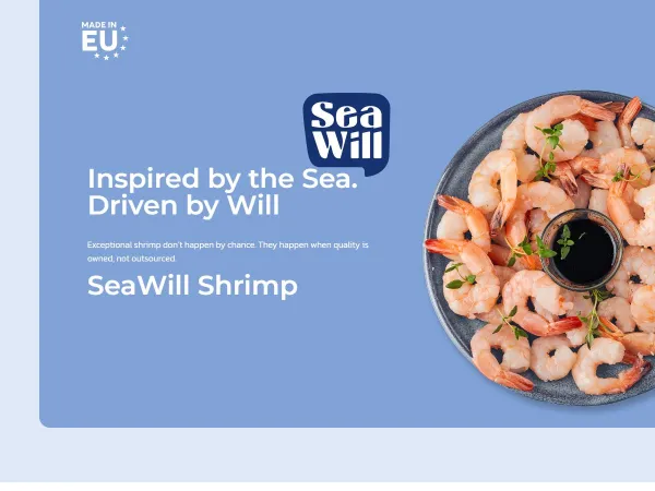 „SeaWill“ svetainė – pagrindinis puslapis kompiuterio ekrane