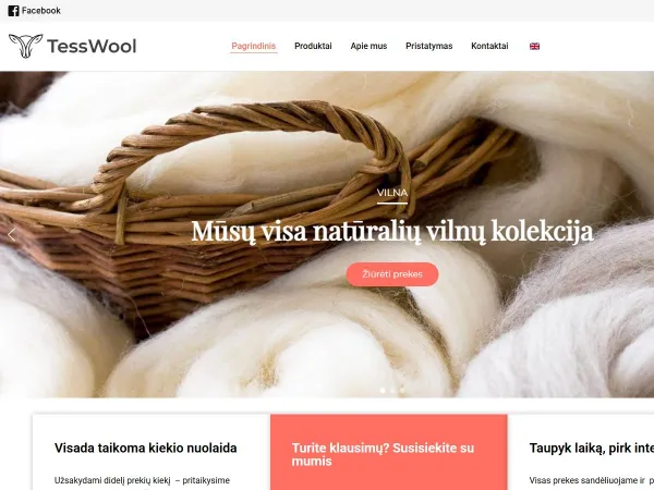 „Tess Wool“ el. parduotuvė – pagrindinis puslapis kompiuterio ekrane