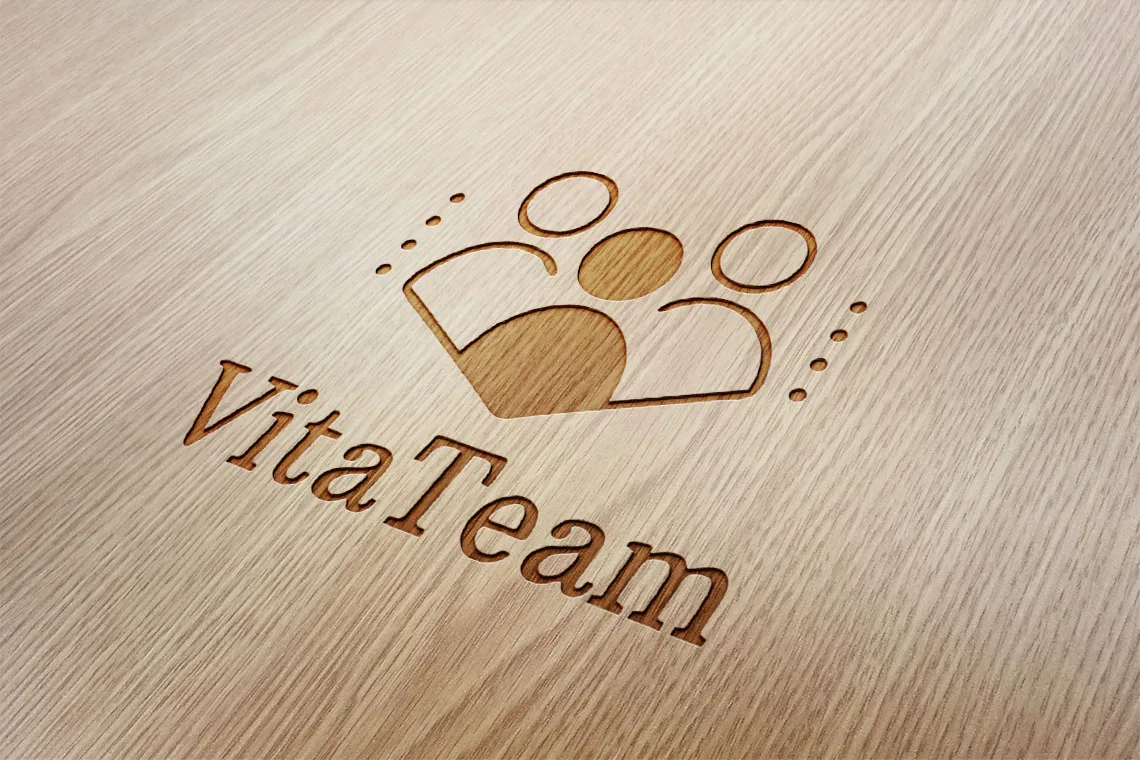 Логотип «VitaTeam» – презентация