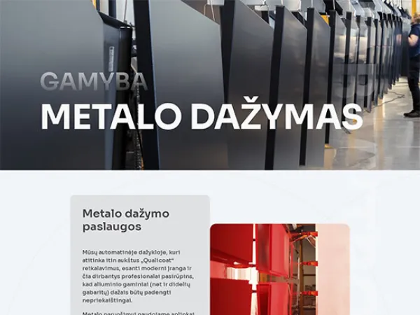 „Vytrolma“ svetainė – vaizdas 2