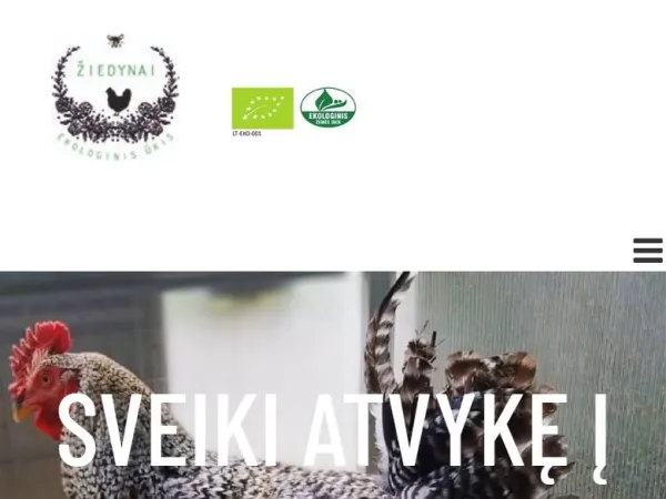 „Žiedynai“ svetainė – mobilioji versija